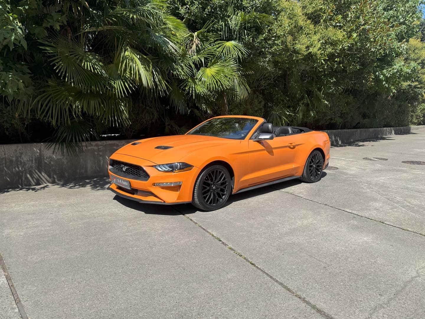 Ford Mustang — аренда в Сочи, фото 1